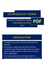 Les Muscles Du Thorax 02
