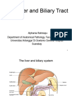 Liver, Biliary Tract and Pancreas Pathology
