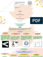 Mapa Conceptual de Arcos de Movilidad