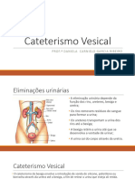 Cateterismo Vesical