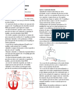 Fisiologia e Fisiopatologia