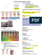 Insuficiência Venosa Crônica