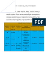 Planificación y Manejo de La Explotación Equina