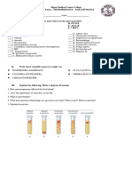 Prelim Stem B