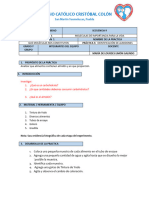 P-9 Identificación de Almidones