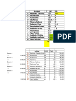 PT Gantt Vivienda Social y CPM