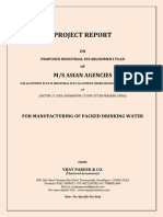 Project Report