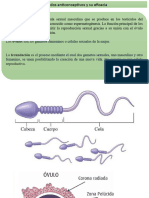 Biologia Metodos