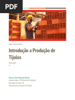 Introdução A Produção de Tijolos