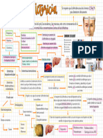 Mapa Conceptual Ictericia