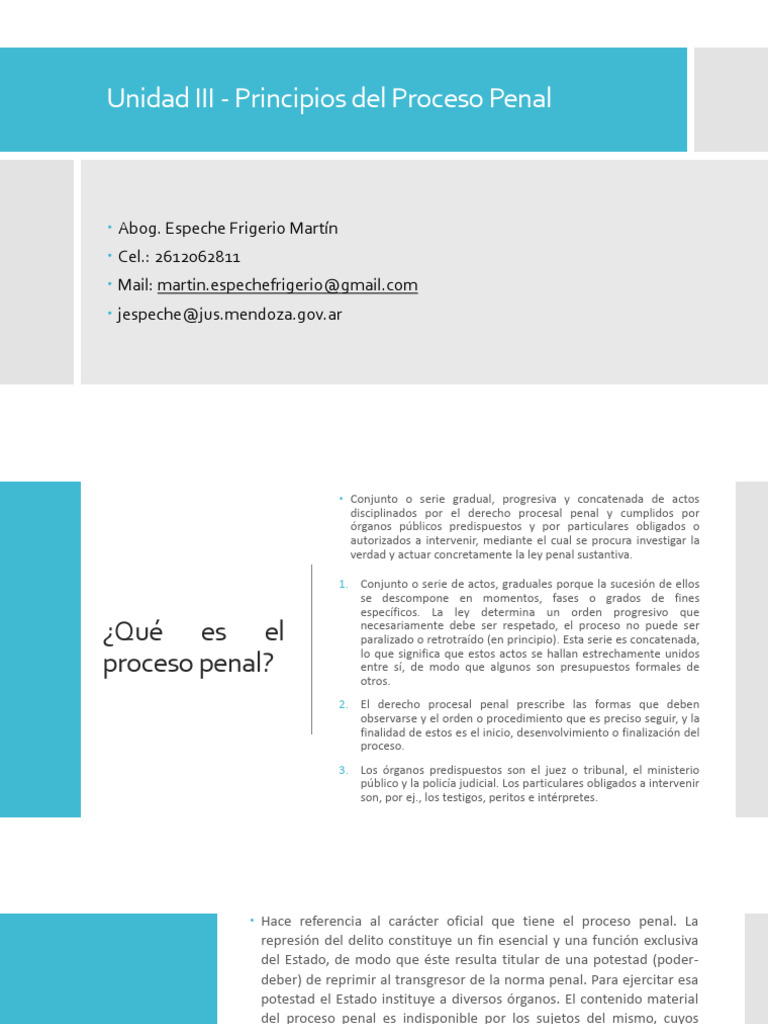 Principios del Proceso Penal en Argentina | PDF | Ley procesal ...