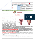 Ficha - S2 - Act 5 - 10mo