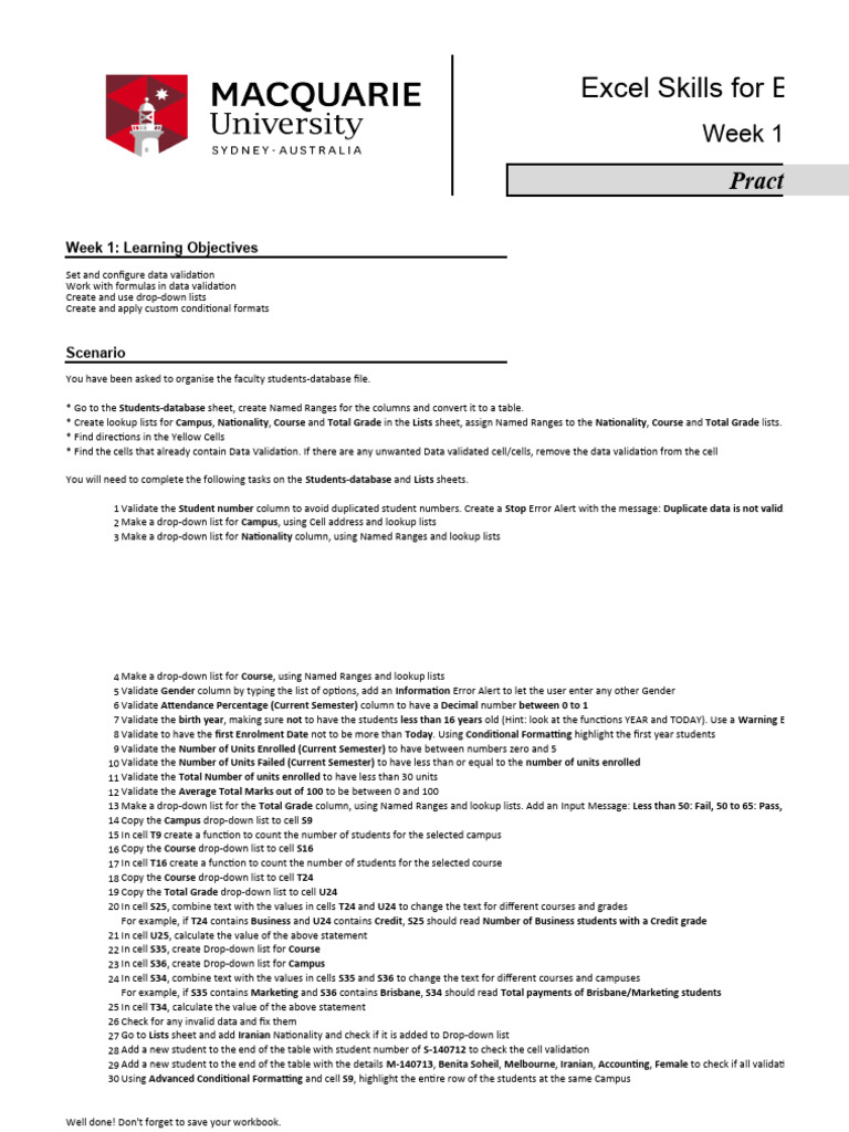 Excel Data Validation Practice Sheet | PDF | Microsoft Excel ...