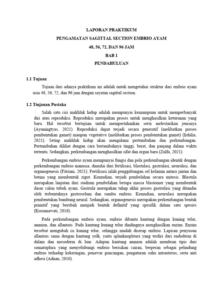 Sagittal Section Embrio Ayam 48 96 Jam PDF