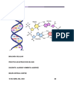 Extracion de Adn