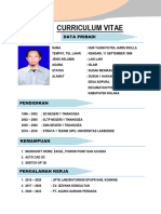 Curriculum Vitae