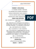 Litigacion Penal PDF