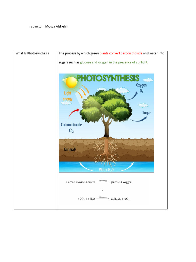 Screenshot 2023-12-09 at 10.08.27 AM | PDF | Photosynthesis | Chlorophyll