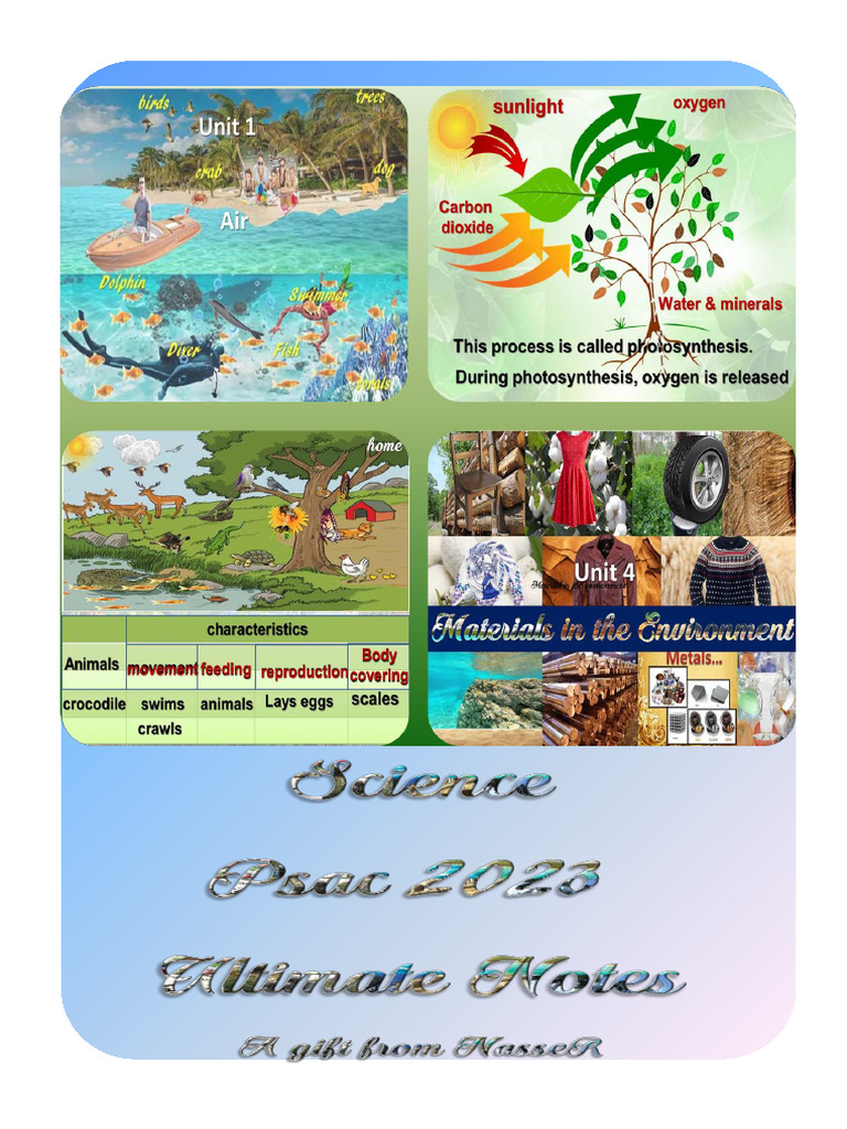Science Ultimate NotesG6 | PDF