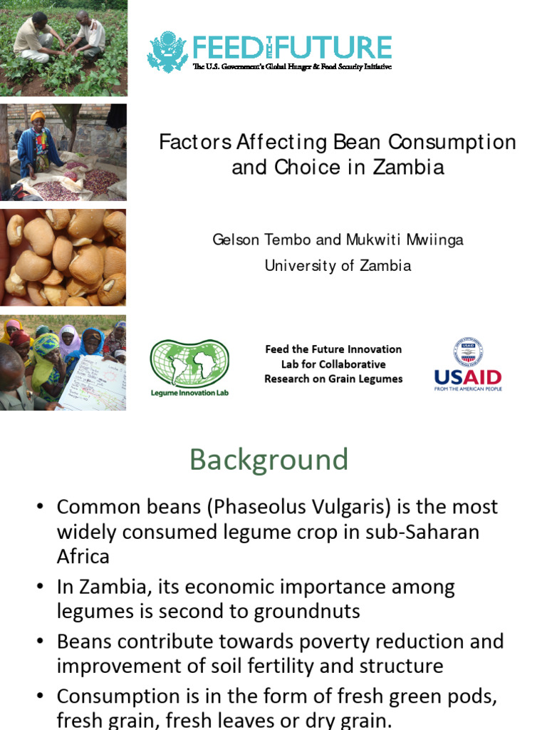 Mwiinga Factors Affecting Bean Consumption | PDF | Bean | Legume
