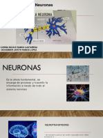 NEURONAS 