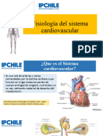 Fisiología Del Sistema Cardiovascular5 Sin Patologias