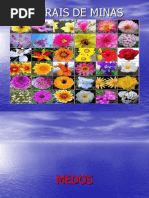 Indicações Florais