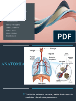 Infeccion Respiratoria Aguda (Ira)