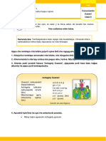 3º Grado Guarani Semana 8