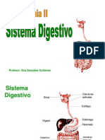 Sistema Digestivo