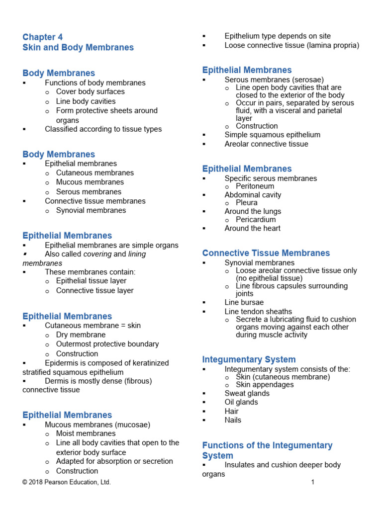 Body Membranes and Skin Structure | PDF | Skin | Integumentary System