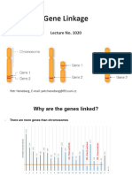 Gene Linkage: Lecture No. 1020