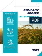 Company Profile Flyer