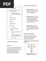 Overview of Metabolism