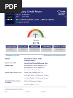 SAC46081401-Company Credit Report