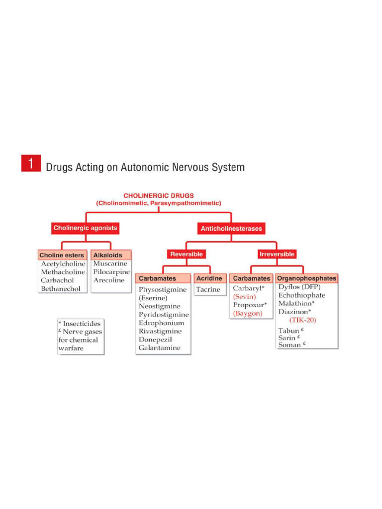 Drugs Classification | PDF