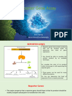 Reporter Gene Assay Slides 2021