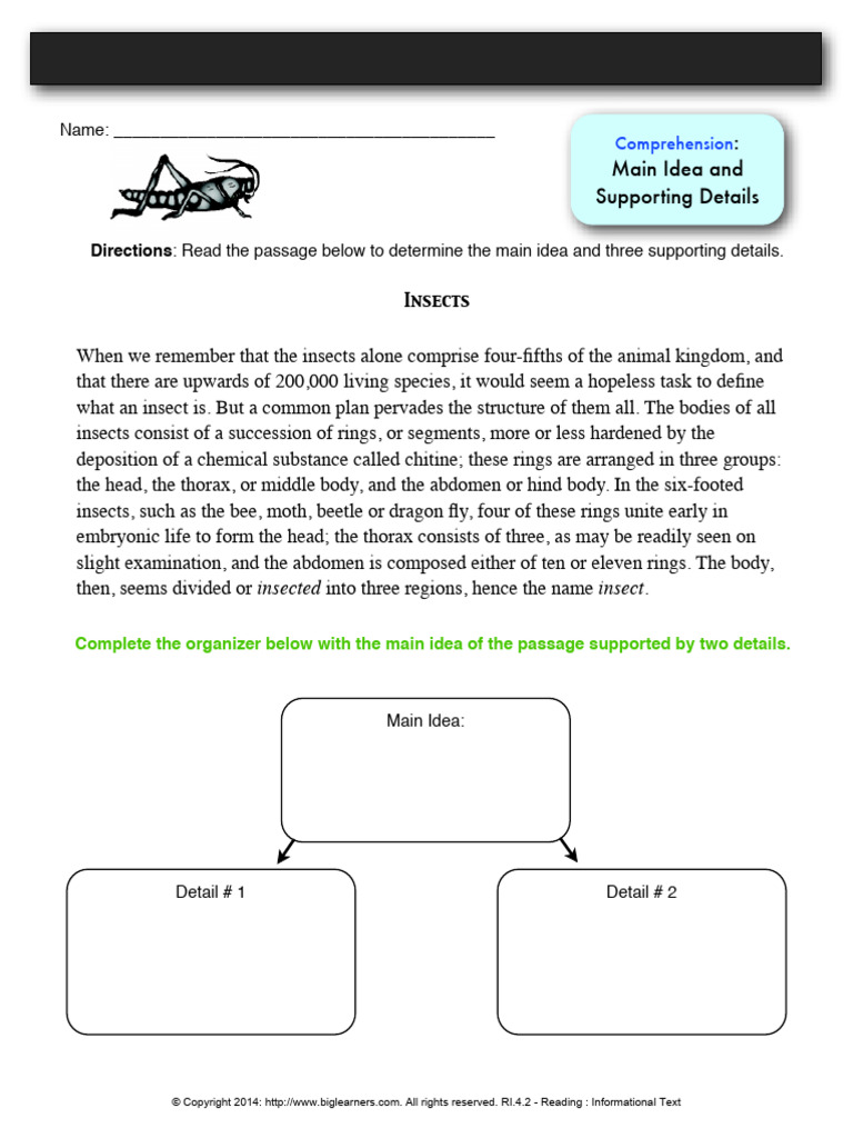 Comprehension Main Idea and Supporting Details | PDF | Insects | Abdomen