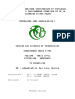 TP - Pénétration Des Ions Chlorures.