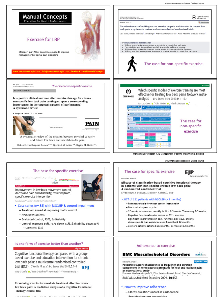 Neuro Exercises for Motor Control Impairment | PDF | Pain | Health Care