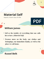 7 Material Self