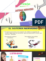 Ciencias Naturales Sistema Nervioso.........