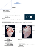AULA 5 - Coração