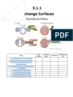 3 1 1 Exchange Surfaces Workbook Notes