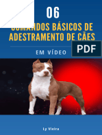 06 Comandos Básicos de Adestramento de Cães