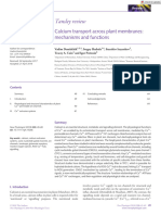 New Phytologist - 2018 - Demidchik - Calcium Transport Across Plant Membranes Mechanisms and Functions