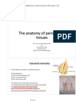 Anatomy of The Periodontium Perio Lecture 5th Year 1st Lect, 4th