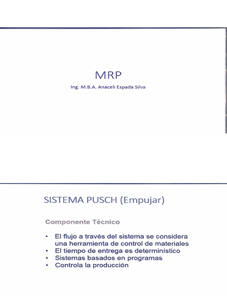 MRP | PDF