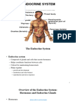 ENDOCRINE SYSTEM - LABORATORY With Side Notes