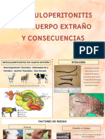 Reticuloperitonitis Por Cuerpo Extraño y Consecuencias